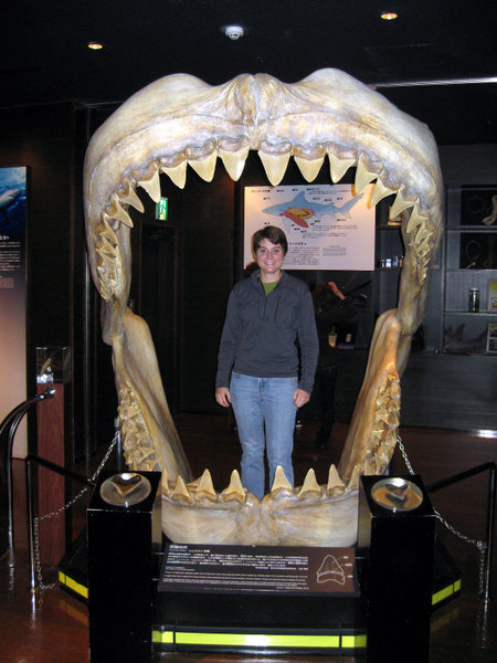 Kim in Megalodon Mouth!