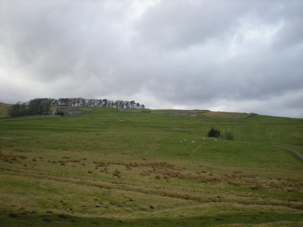 Housestead field