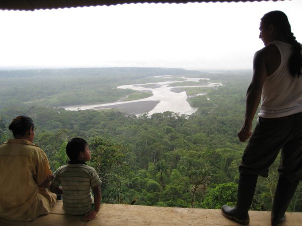 Jungle Lookout