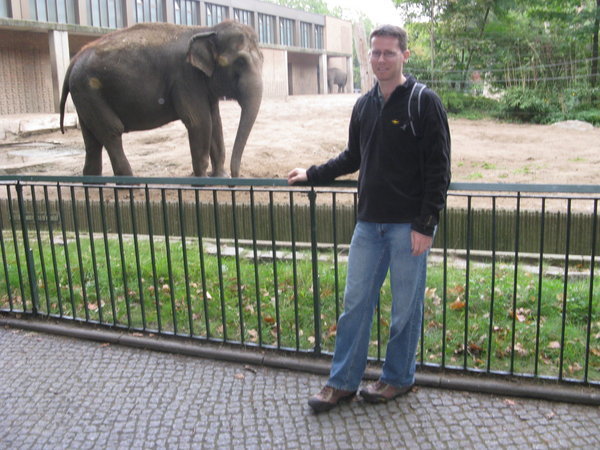 The Elephants at Berlin Zoo