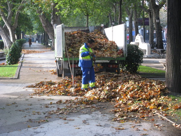 Autumn in Madrid