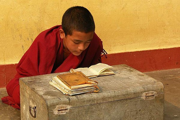 Young Monk Studying