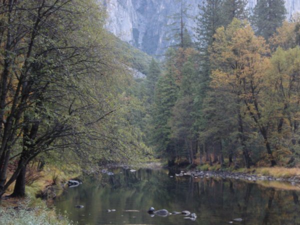 River in Yosemite Valley