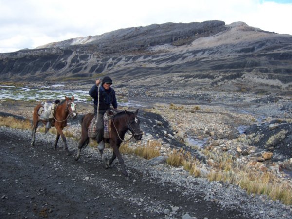 man on horse up to glacier!