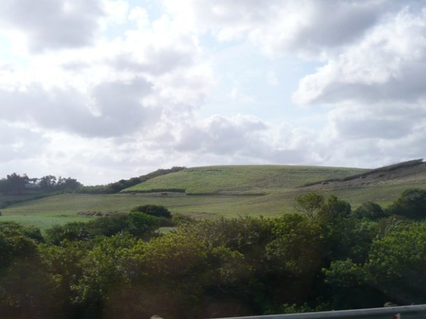 View of Durban countryside