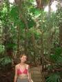 Sophie in the rainforrest