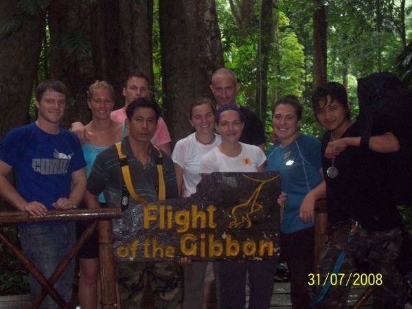 Flight of the Gibbons