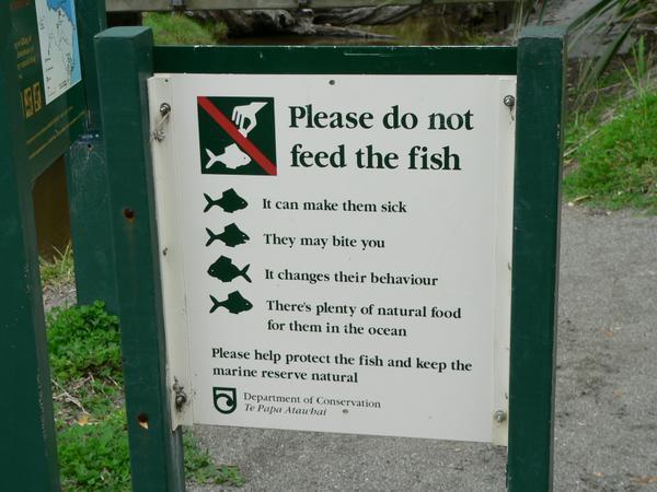 don't feed the fish
