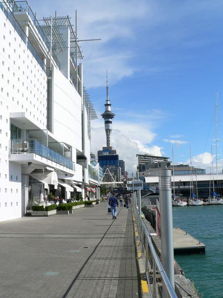 Around Auckland- Hilton and SkyTower