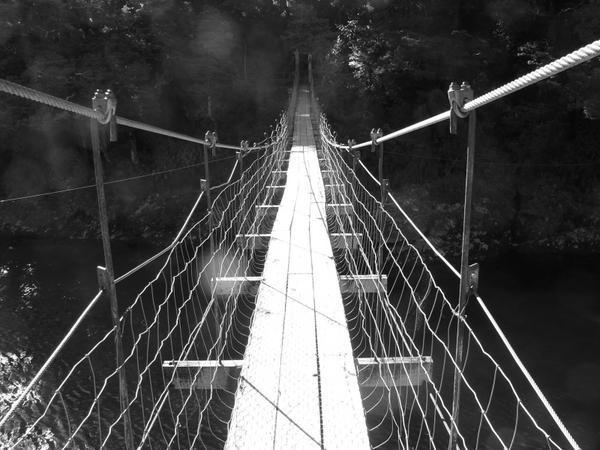 Rope Bridge