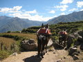 Following behind donkeys on our descent into Colca Canyon