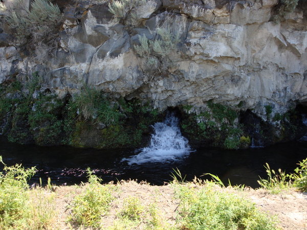 One of the Thousand Springs