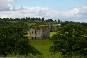Castle ruins on R700 Inistioge