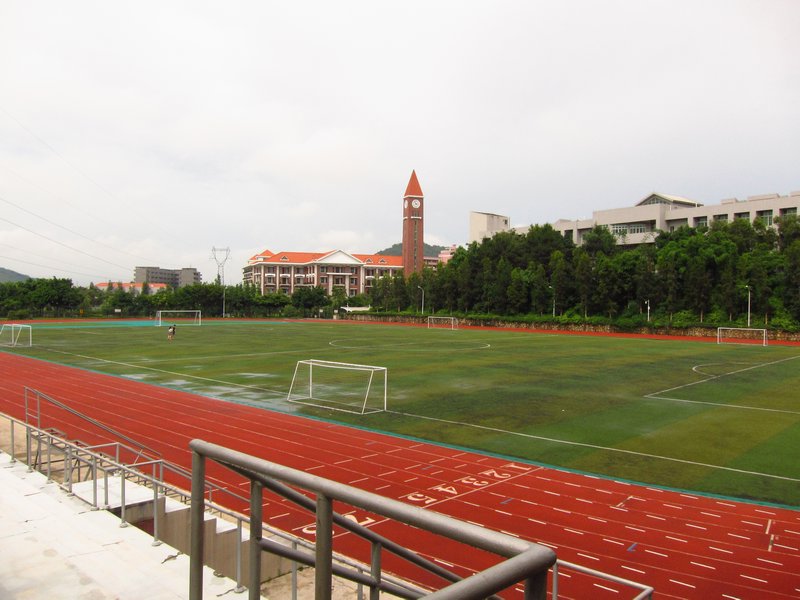 The football pitch and track