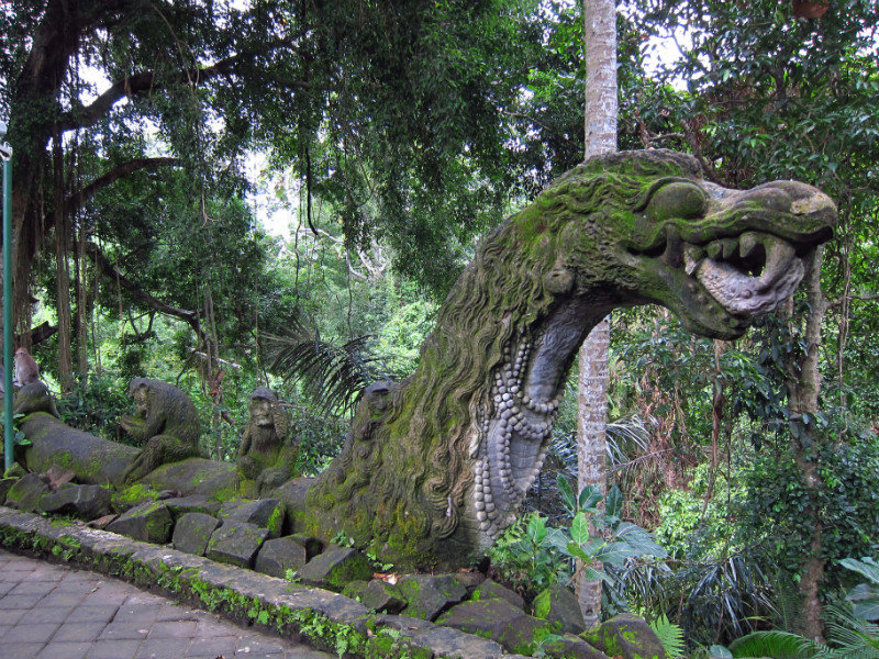 Mossy In the Monkey Forest