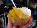Coconut ice cream with mango and sticky rice