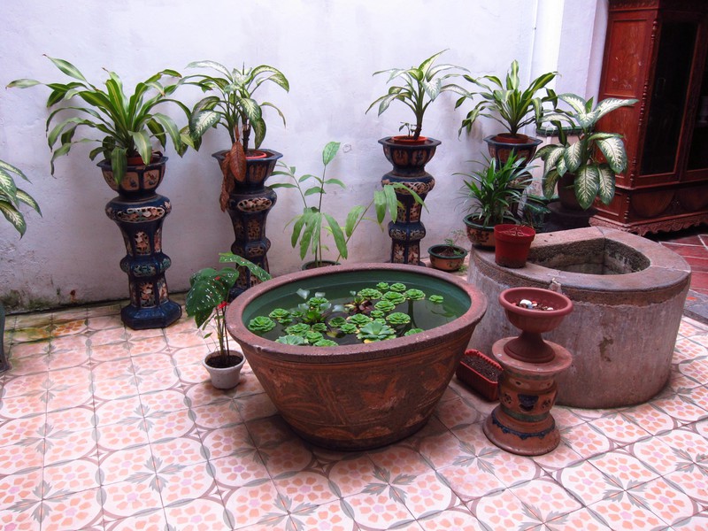Plants catch rainfall