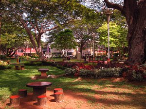 Local park