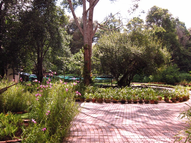 The Botanical Gardens
