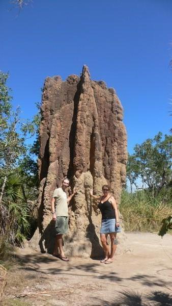 Cathedral Termite Mound