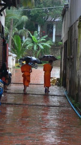 Its Raining Monks