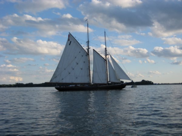 Beautiful sail boat