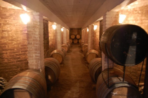 Cellar of the bodega
