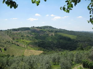View of Tuscany from our Villa