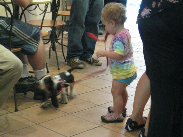 Alex playing with dog in Cafe.