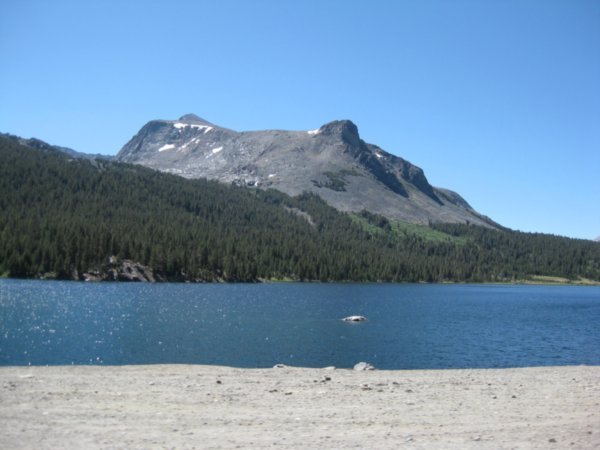 Yosemite - Tioga Lake