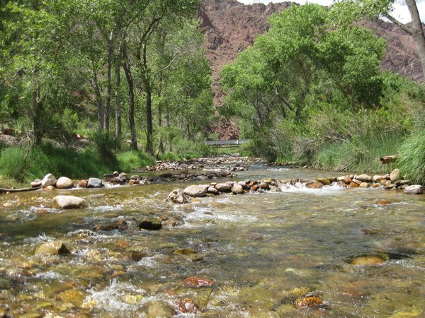 Bright Angel Creek at the Campground | Photo