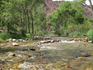 Bright Angel Creek at the Campground