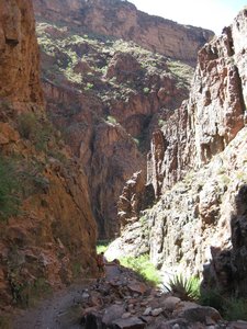 Narrow Bright Angel Canyon