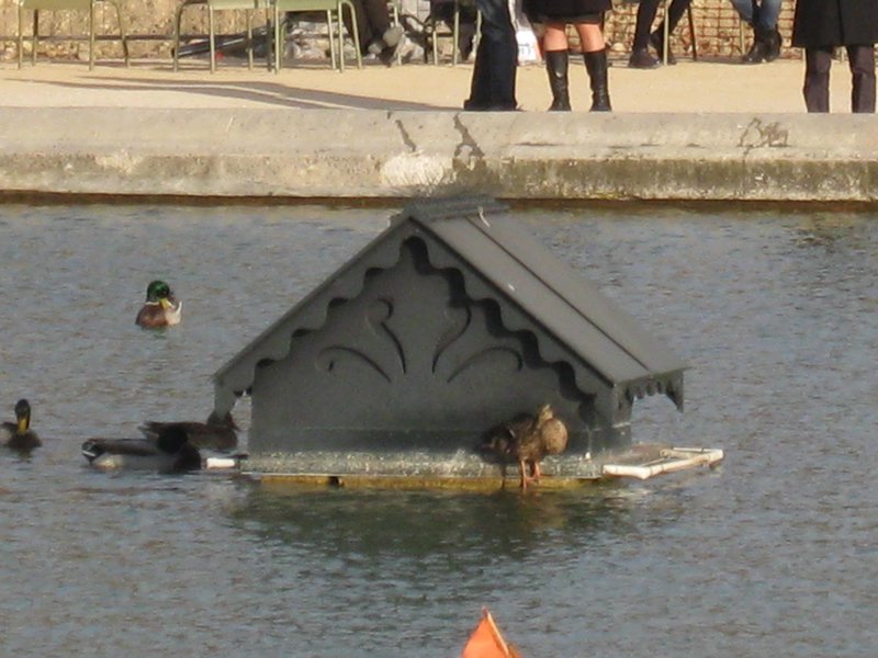 Duck Hut in fountain at Luxembourg Fountain