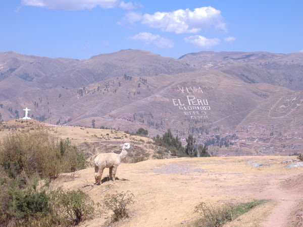 Viva la Peru! Cusco