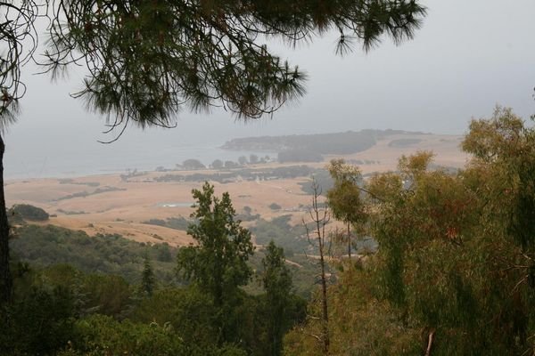 View of the Hearst Land 