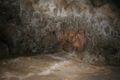 Inside Carlsbad Caverns !