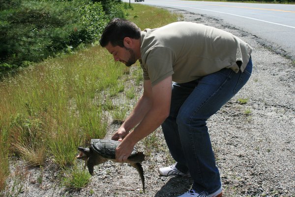 Jason trying to save the turtle !