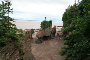 A view of Hopewell Rocks from the stairs.