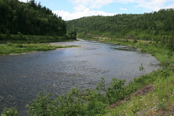 Beautiful river flowing through New Brunswick