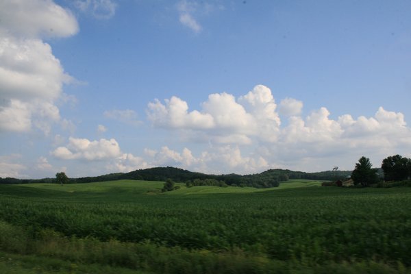 Beautiful Wisconsin hillside