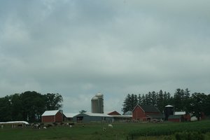Dairy farm in Wisconsin
