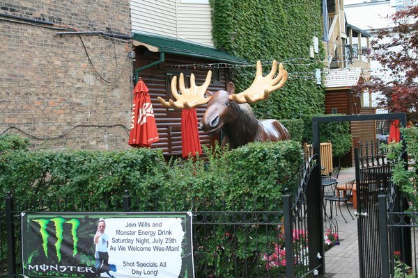 Look Jason & Lynn, we found a moose in Chicago !
