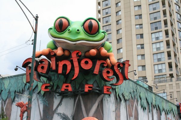 Rainforest Cafe in Chicago