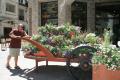 He's pushing the flower cart around Vail, CO !