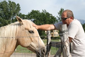Tim giving some love to Mr. Ed.