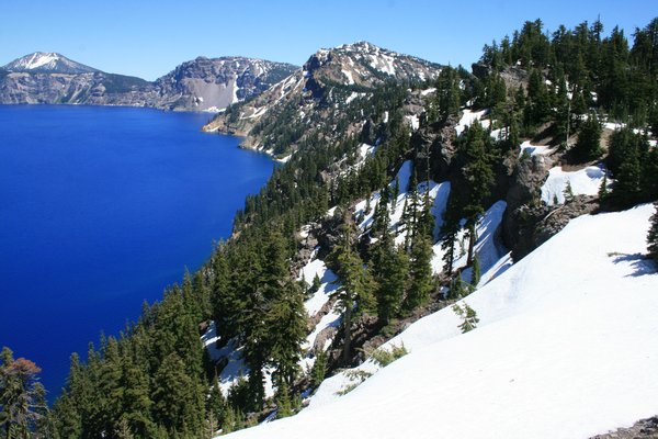 Only two types of fish live in Crater Lake....the kokanee salmon & the rainbow trout