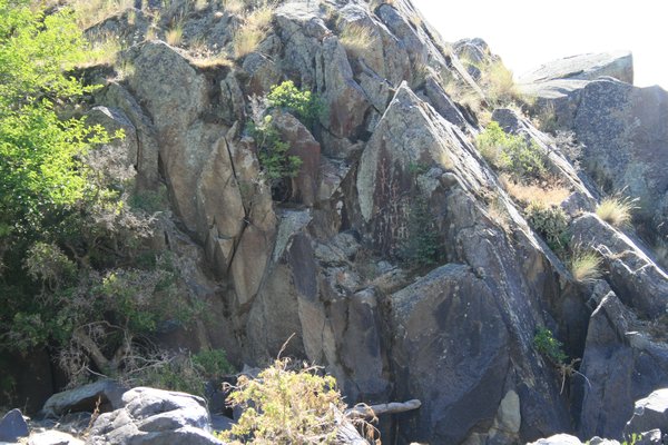 Petroglyphs on the mountainside in Hells Canyon