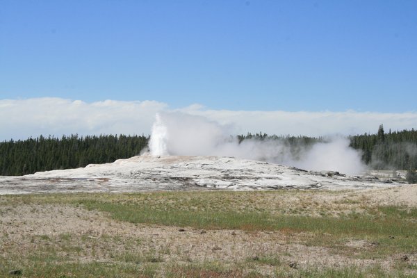 Old Faithful about to erupt in Yellowstone