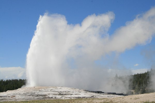 Old Faithful erupting in Yellowstone